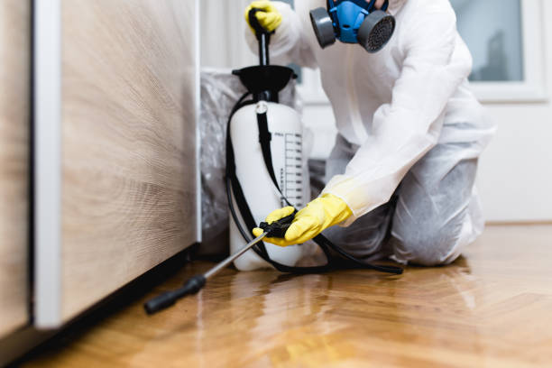 Best Insect Control  in Heritage Lake, IL