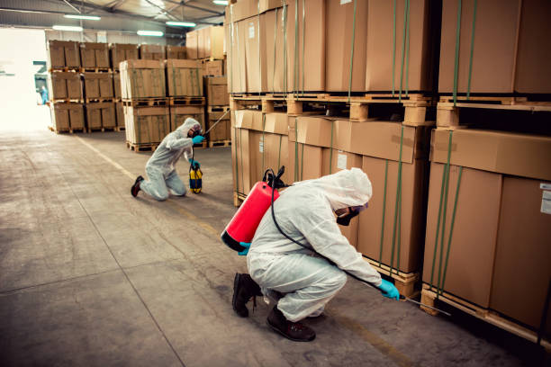Best Wasp Removal Services  in Heritage Lake, IL