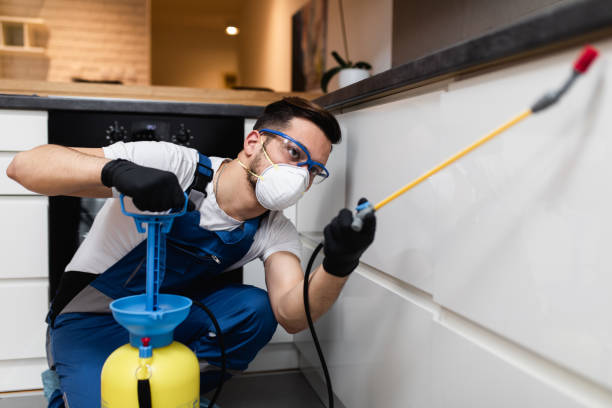Best Wasp Removal Services  in Heritage Lake, IL