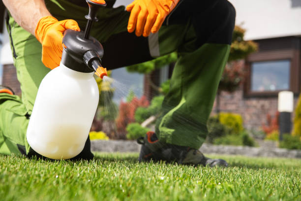 Best Commercial Pest Control Services  in Heritage Lake, IL