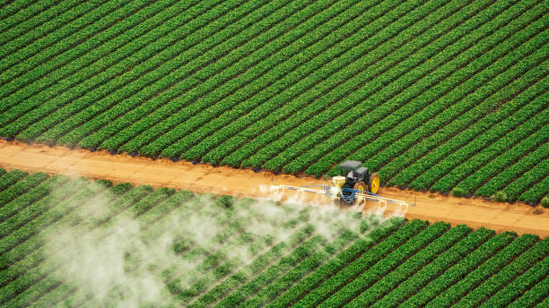 Best Mosquito Control Services  in Heritage Lake, IL