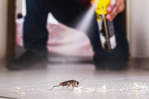 Best Bed Bug Extermination  in Heritage Lake, IL