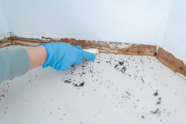 Trusted Heritage Lake, IL Pest Control Experts