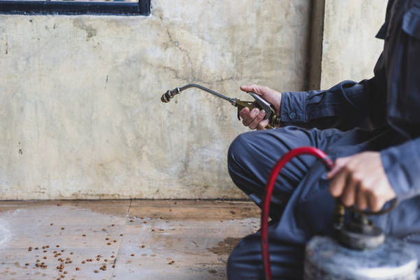 Best Pest Control Treatment  in Heritage Lake, IL