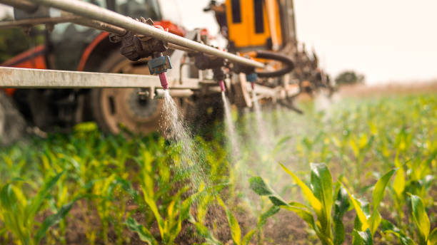 Best Pest Control for Homes  in Heritage Lake, IL