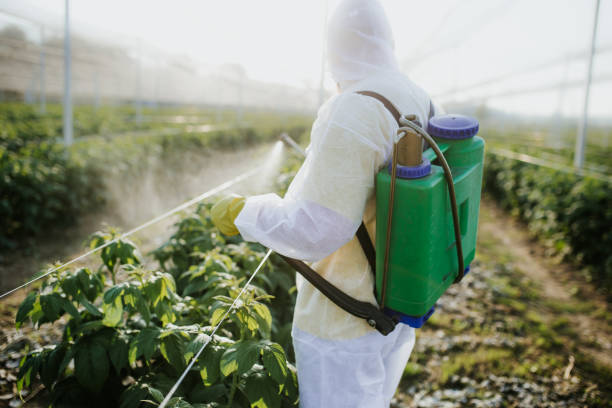 Best Cockroach Control Services  in Heritage Lake, IL